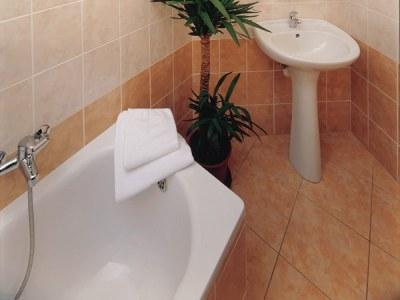 Hotel U Tri Lvu Ceske Budejovice Dış mekan fotoğraf